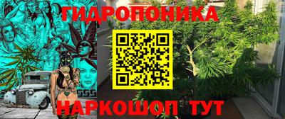 стаф Краснокаменск