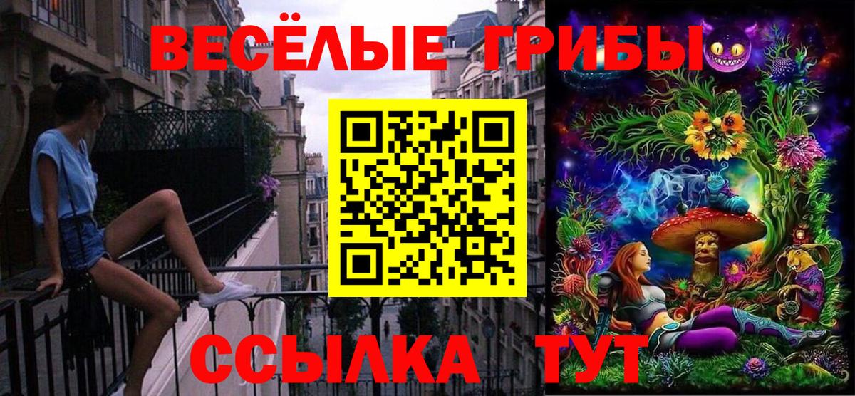 Каменка  Псилоцибиновые грибы мицелий  Вход с VPN 