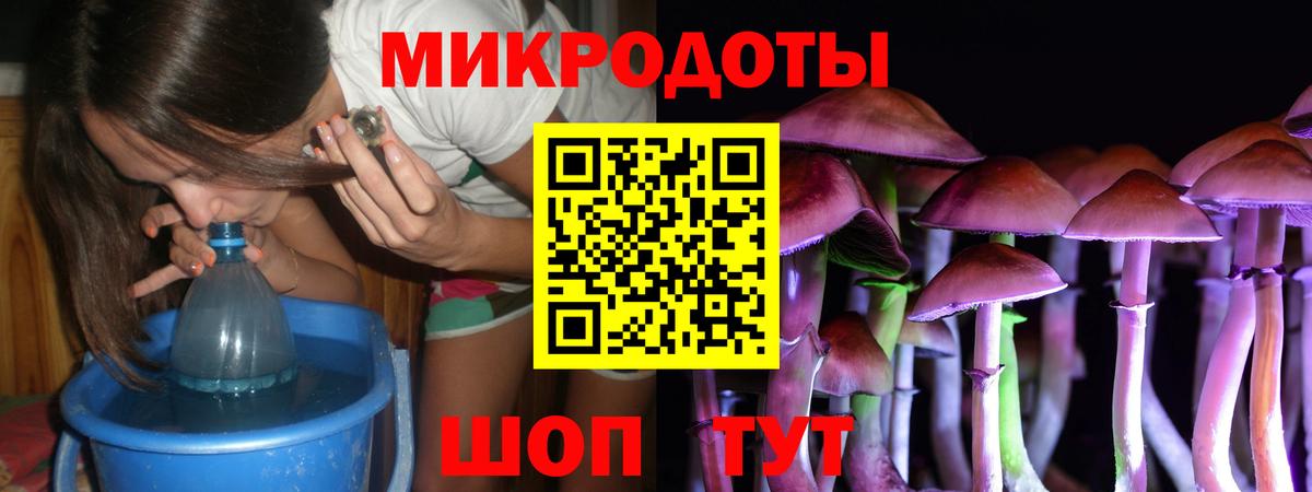 Псилоцибиновые грибы Psilocybine cubensis Каменка